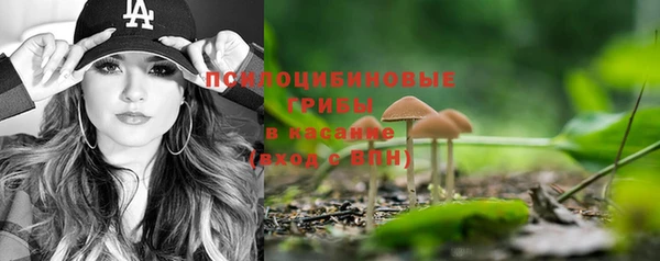 молекула духа Козловка