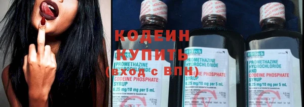 молекула духа Козловка