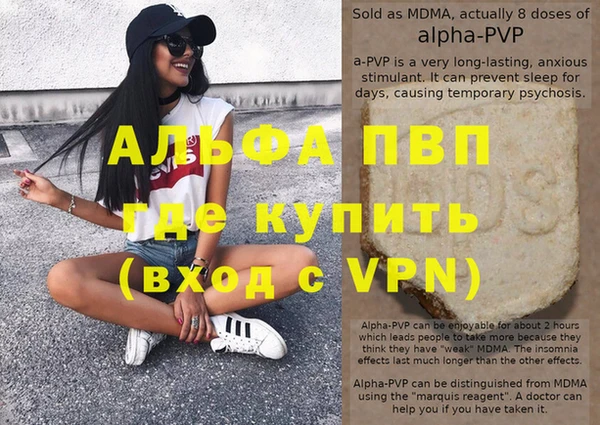 молекула духа Козловка