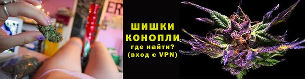 молекула духа Козловка