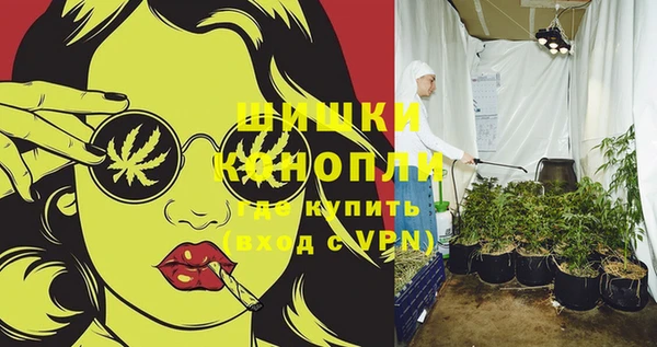 молекула духа Козловка