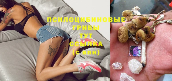 молекула духа Козловка