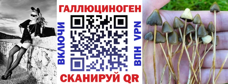 Галлюциногенные грибы ЛСД  Купить где  Губкин 